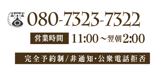 lpF080-7323-7322
